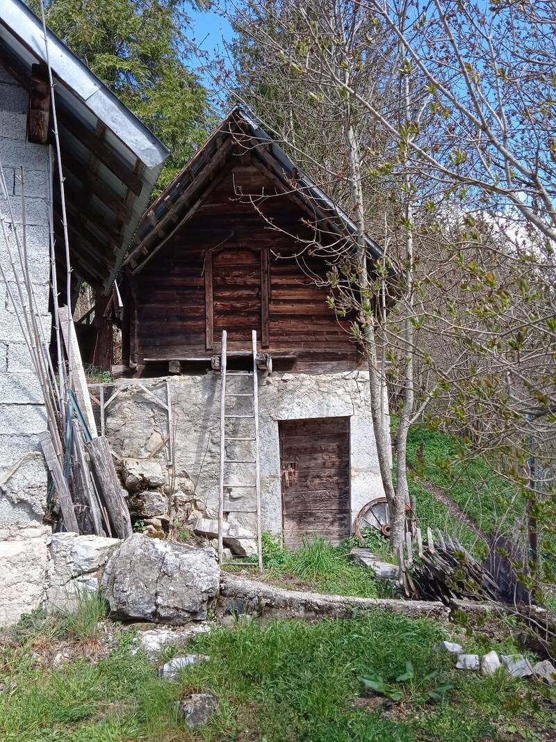 Entremont-Le-Vieux (73670)