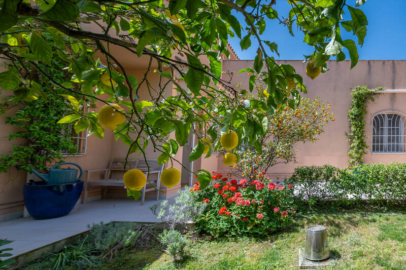 Roquebrune-Cap-Martin (06190)