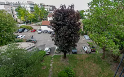 Choisy-Le-Roi (94600)
