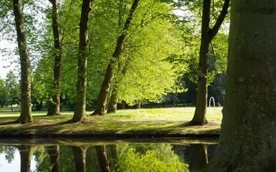 Cergy (95000)