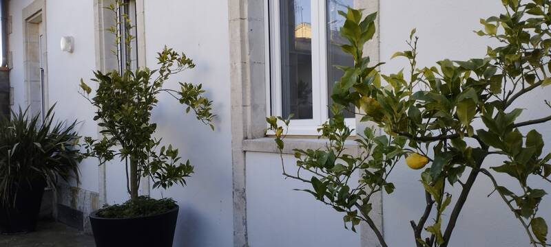 La Rochelle- Magnifique Appartement Plein Centre Avec Grande Terrasse