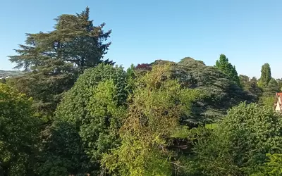 Mâcon (71000)