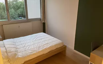 Lille (59000)