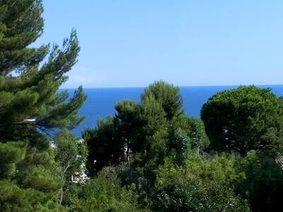Location appartement studio Nice (06)