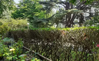 Sceaux (92330)
