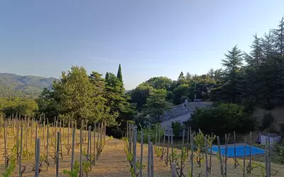 Saint-Péray (07130)