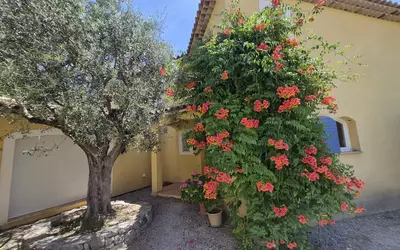 Draguignan (83300)