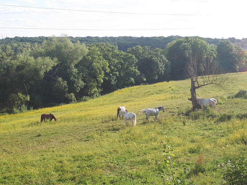 Coubron (93470)