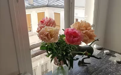 Paris 3Ème