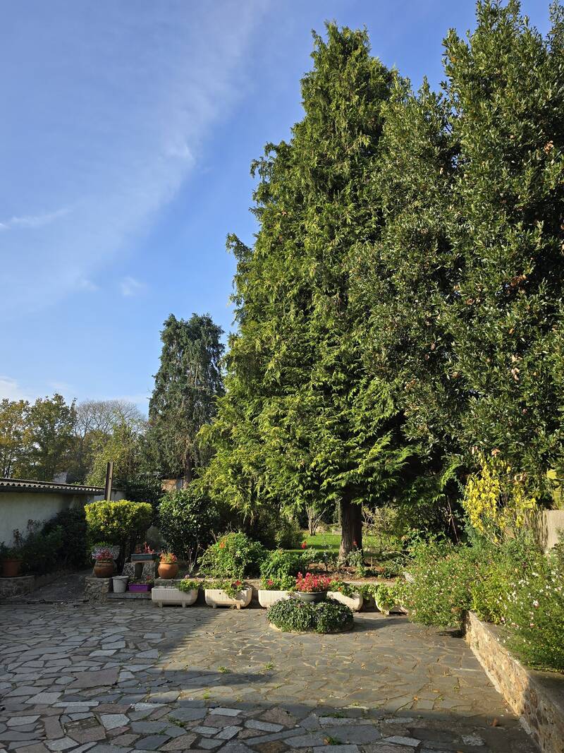 Cossé-Le-Vivien