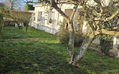 Joué-Lès-Tours (37300)