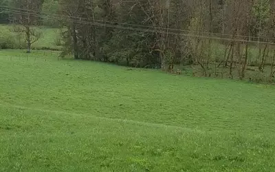 Mijoux (01170)