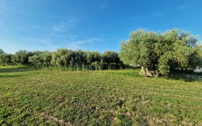 Vézénobres (30360)