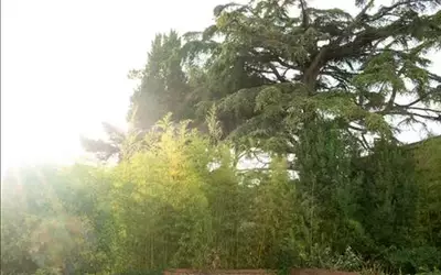 Montpellier (34000)