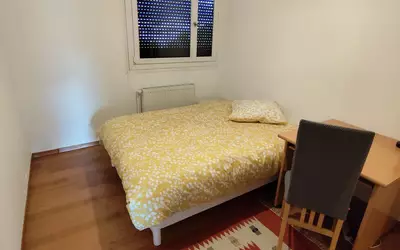 Grenoble (38000)