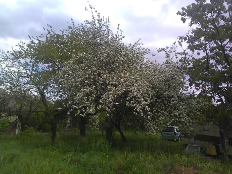 Sougères-En-Puisaye (89520)