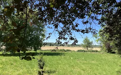 Mondavezan (31220)