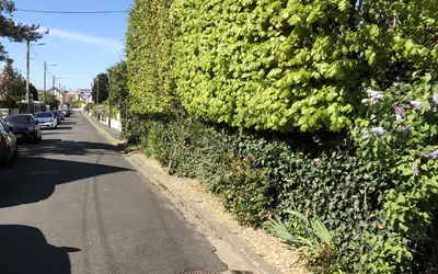 Conflans-Sainte-Honorine (78700)