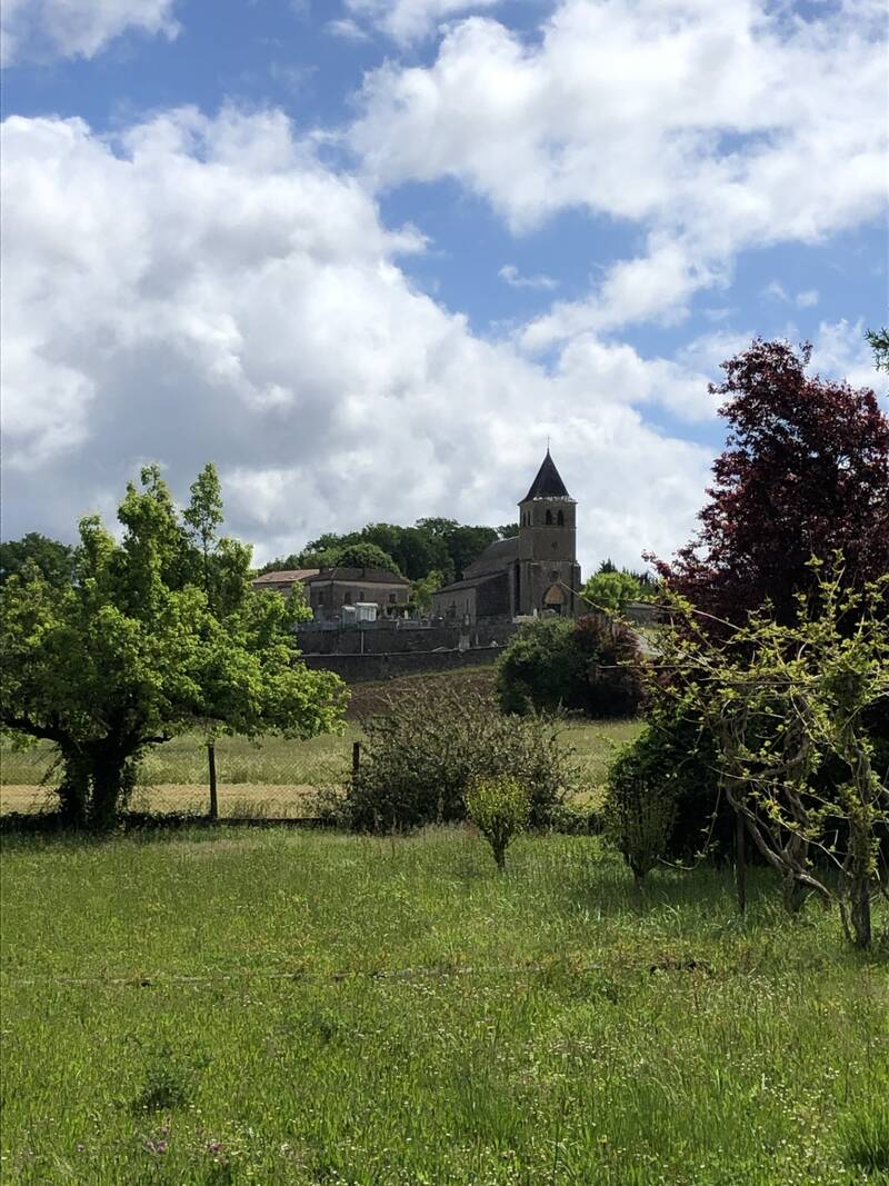 Entre Les Vignes Et Le Bord Du Lot
