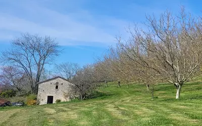Aiguillon