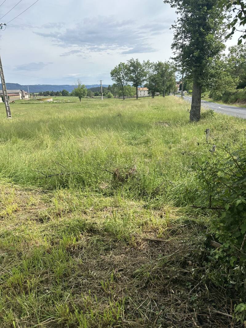 Beauzac (43590)