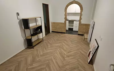 Maisons-Alfort (94700)