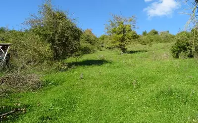 Les Andelys (27700)