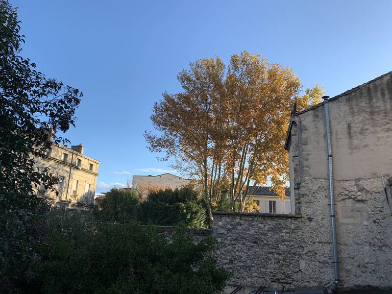 Avignon (84000)