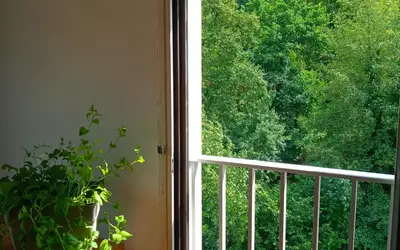 Bourbonne-Les-Bains (52400)
