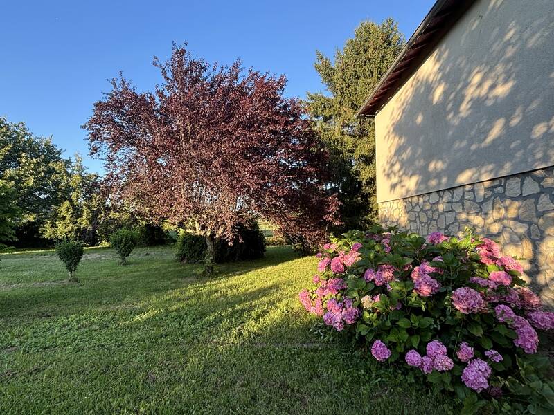 Entre Les Vignes Et Le Bord Du Lot