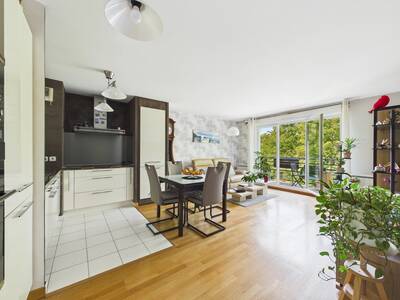 Vente appartement 3 pièces Villeneuve-le-Roi (94290)