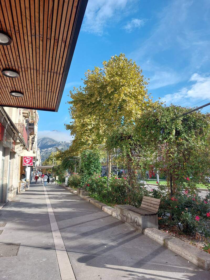Grenoble (38000)