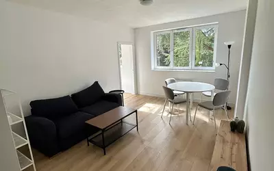 Palaiseau (91120)