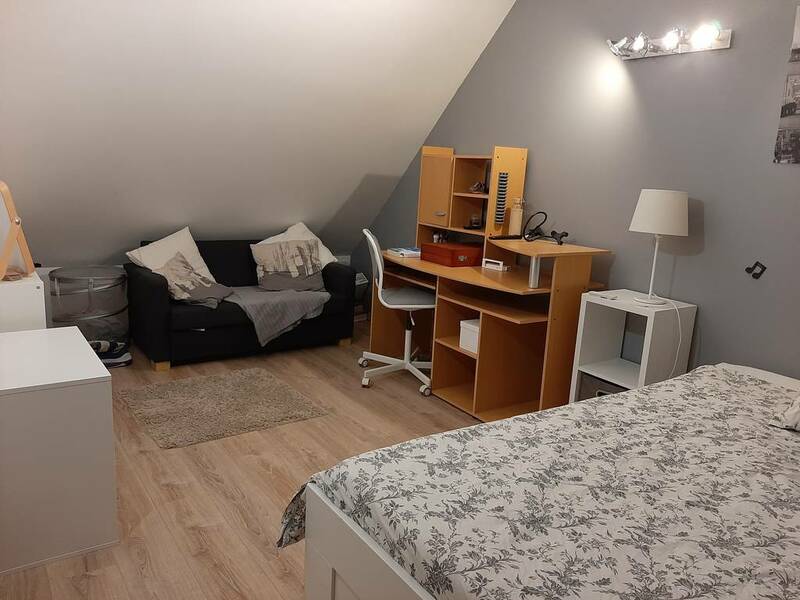 Saint-Denis-En-Val (45560)