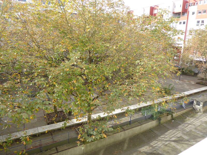 Villejuif (94800)