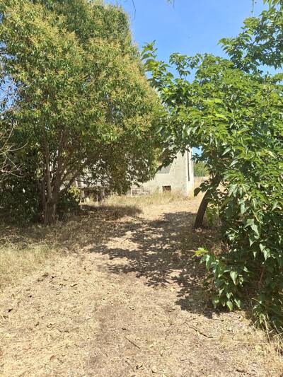 Vente maison 3 pièces Pomérols (34810)