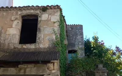 Saujon (17600)