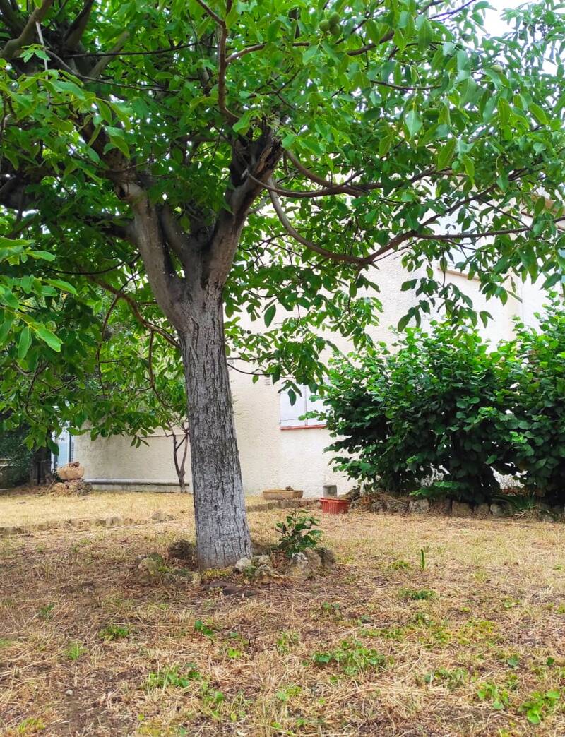 - 161 M² Au Sol