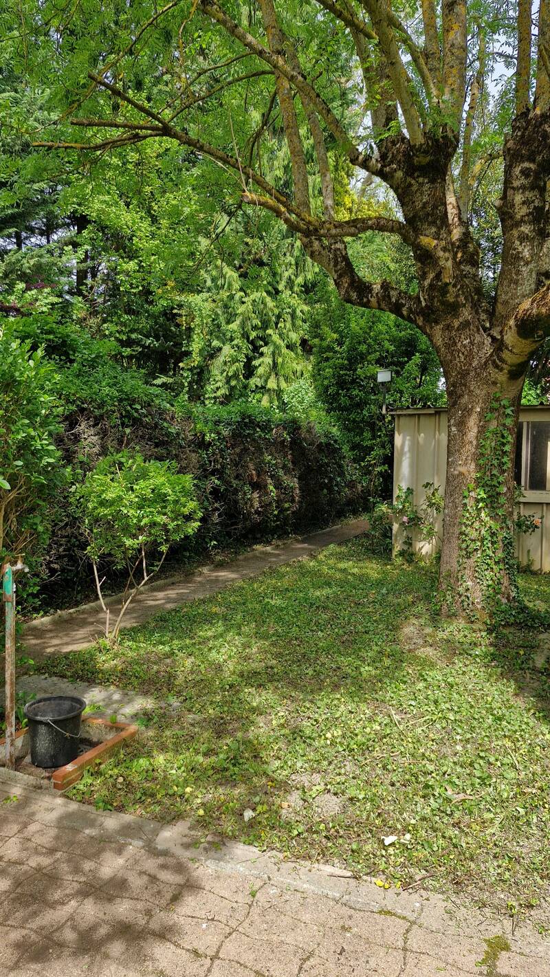Cosne-Cours-Sur-Loire (58200)