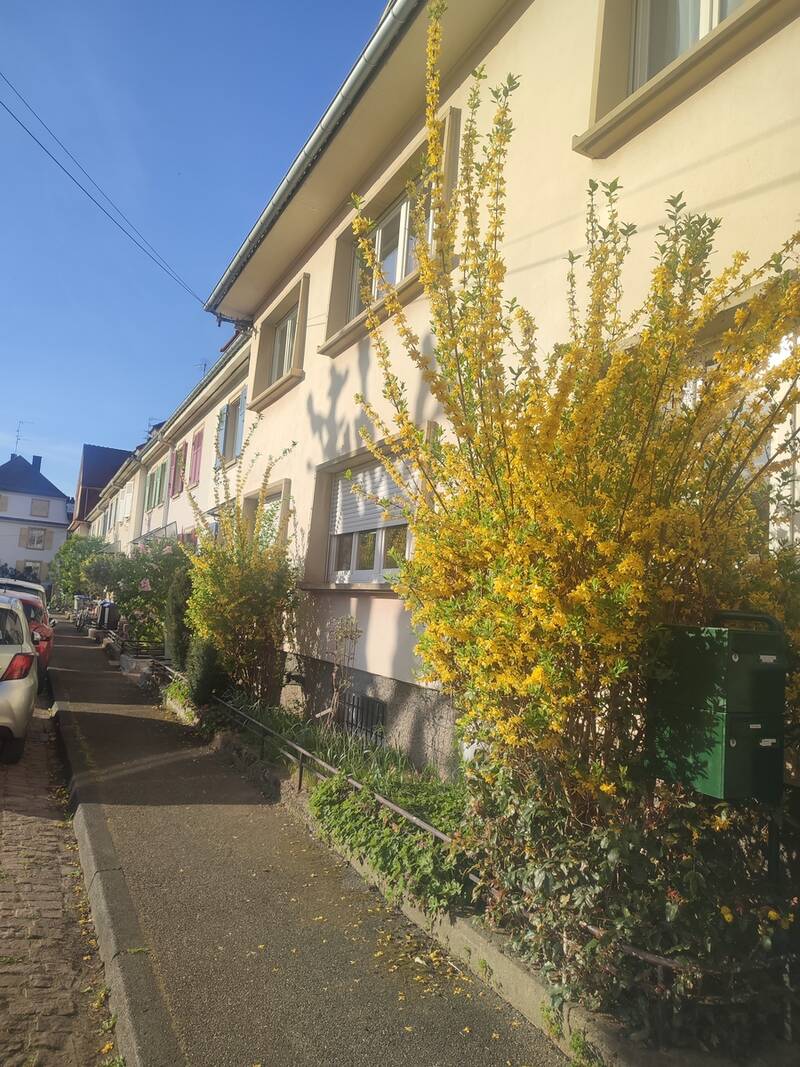 Strasbourg (67000)