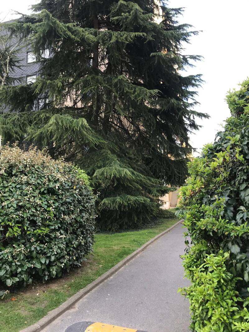 Boissy-Saint-Léger (94470)