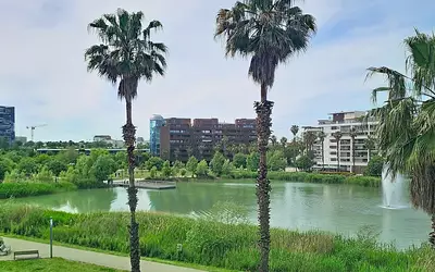 Montpellier (34000)