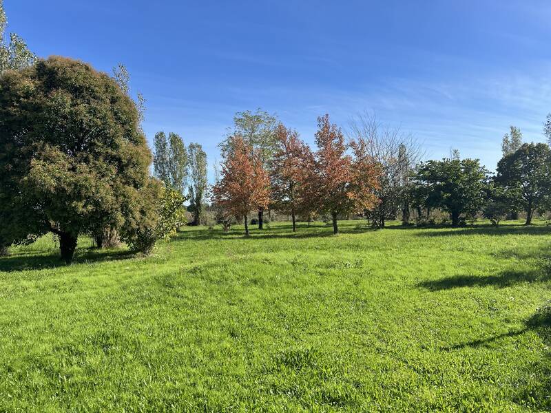 Bressols (82710)