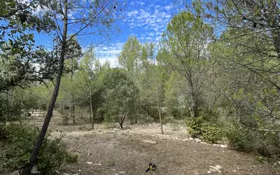 Aujargues (30250)