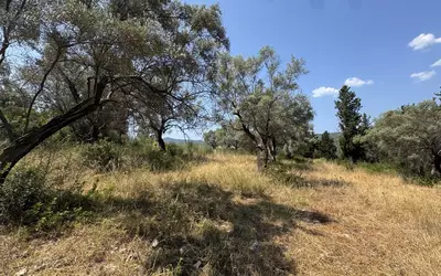 Grèce