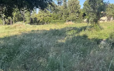 San-Gavino-Di-Carbini (20170)