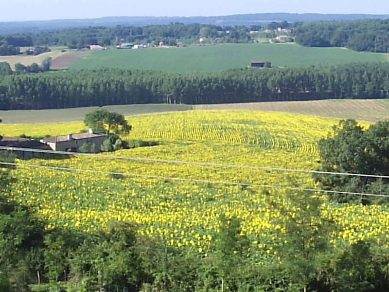 Bouglon (47250)
