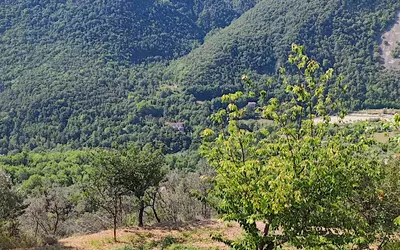 Sigale (06910)