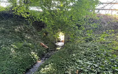 Saint-Désir