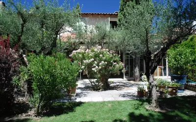 Avignon